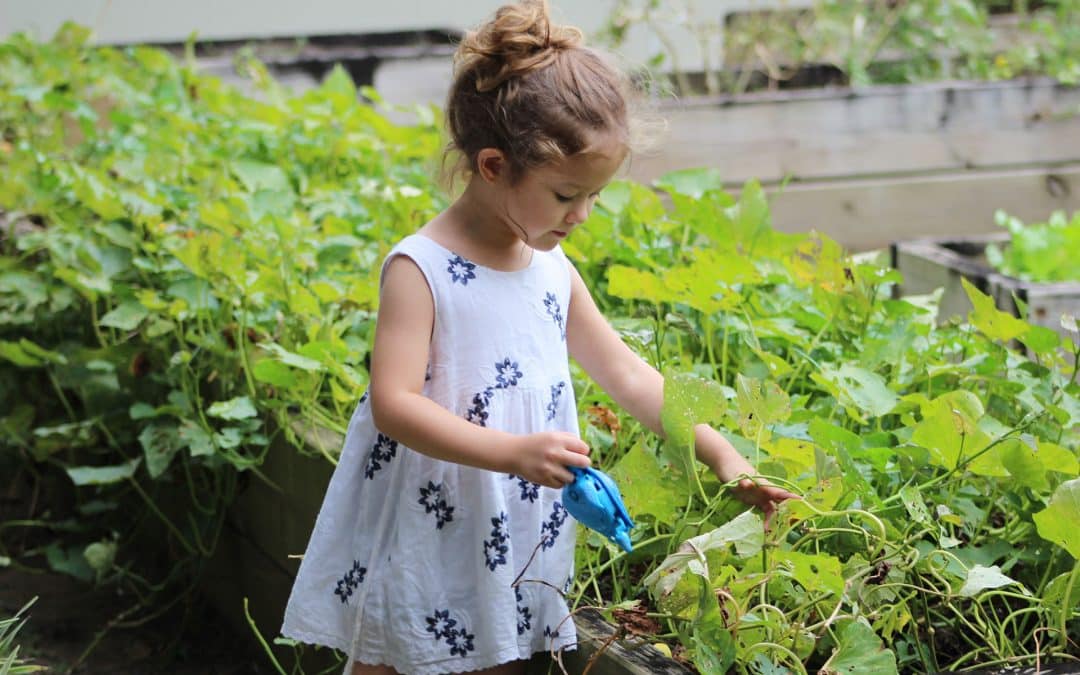 How to Start a Family Garden