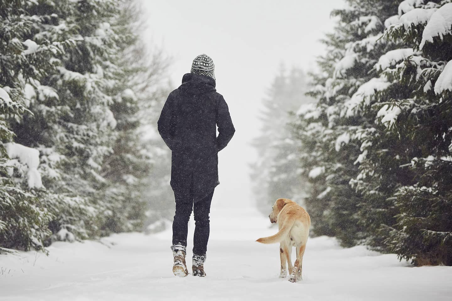 Woman in winter clothes walking dog down snow-covered trail.