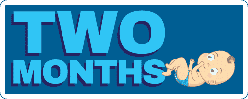 Developmental milestones at two months