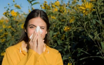 How to Reduce Your Allergies this Fall