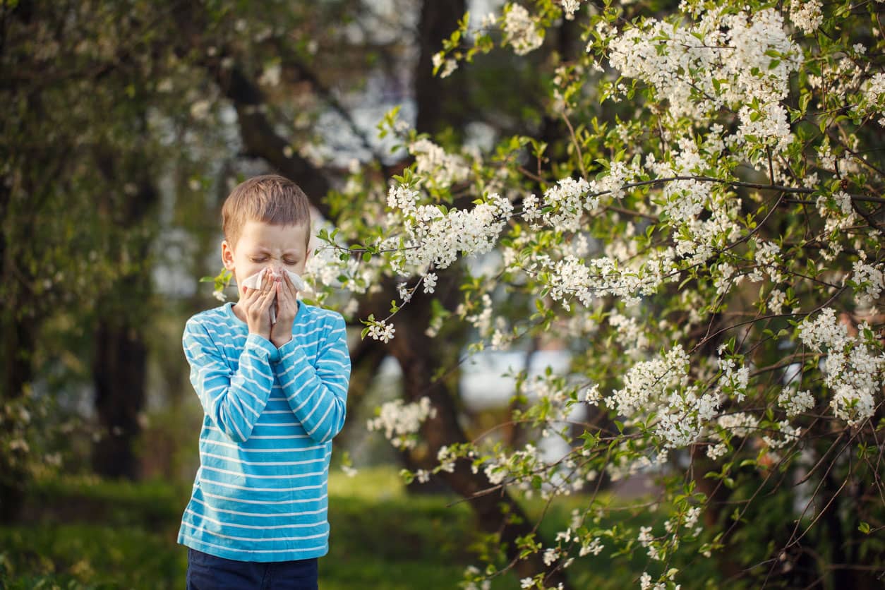 Young boy outside near flowers sneezing because of allergies.