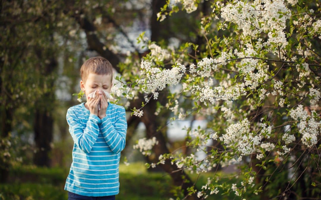 Spring Allergies and How to Remedy Them