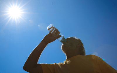 Staying Hydrated in the Summer Heat