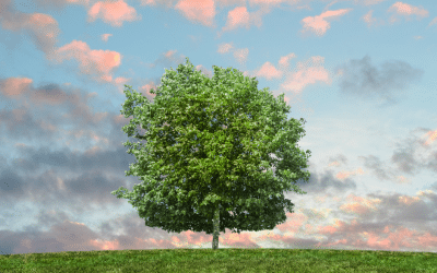 Tips for Eco-Friendly Practices in Everyday Life