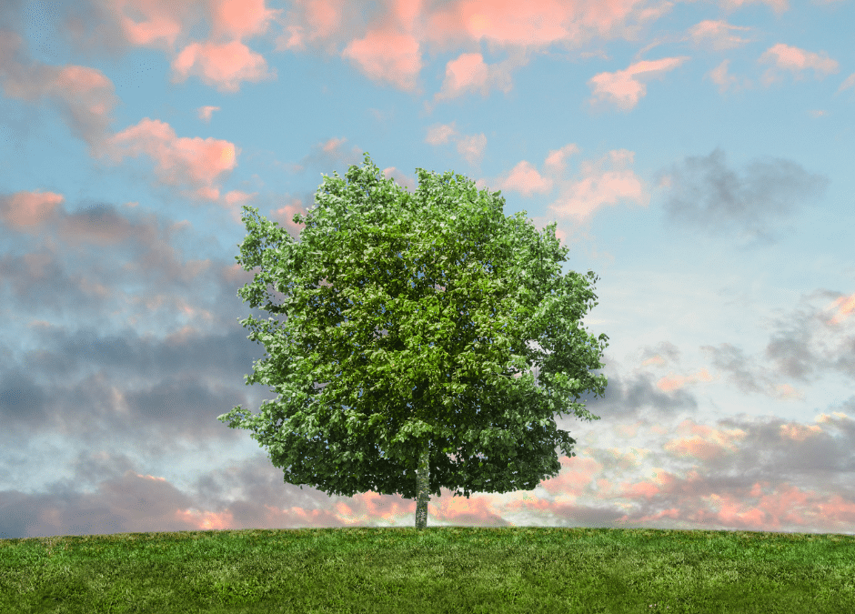 Tips for Eco-Friendly Practices in Everyday Life