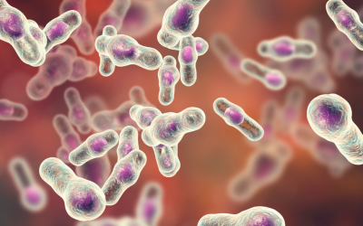 Understanding C. Diff